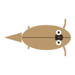 Appendage Length: Front Long