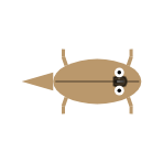 Appendage Surface: All Legs
