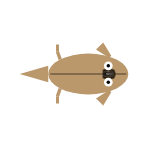 Appendage Surface: Front Fins